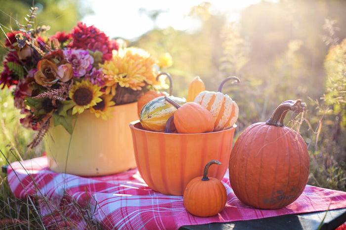 8 Surprising Health Benefits of Pumpkin