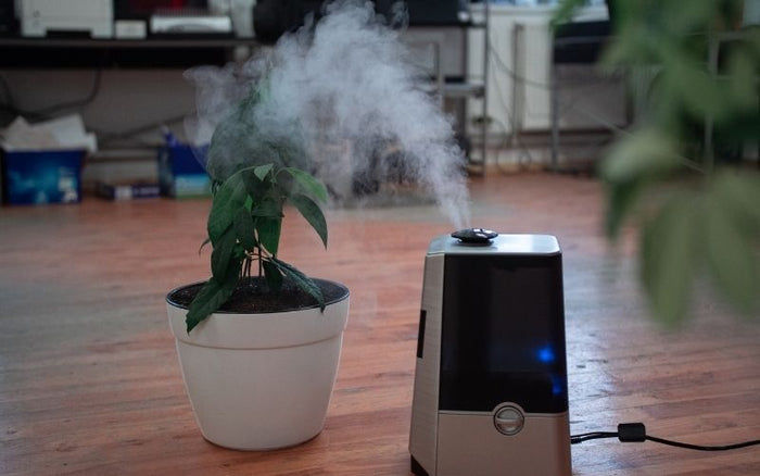 Humidifiers: pros & cons