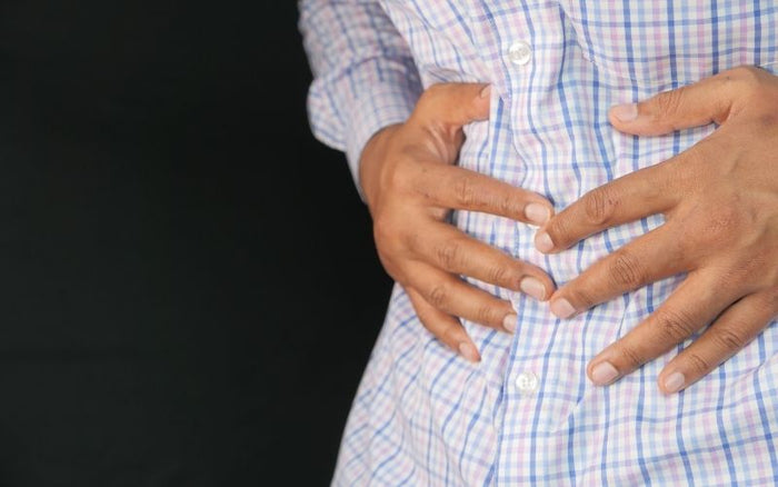 Your gut (explained)