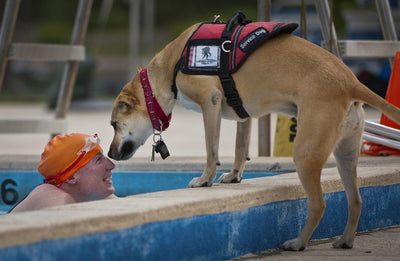 The Benefits of Service Dogs You Need to Hear